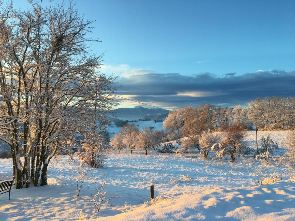 Agriturismo Il Filare Neviano degli Arduini Exteriér fotografie